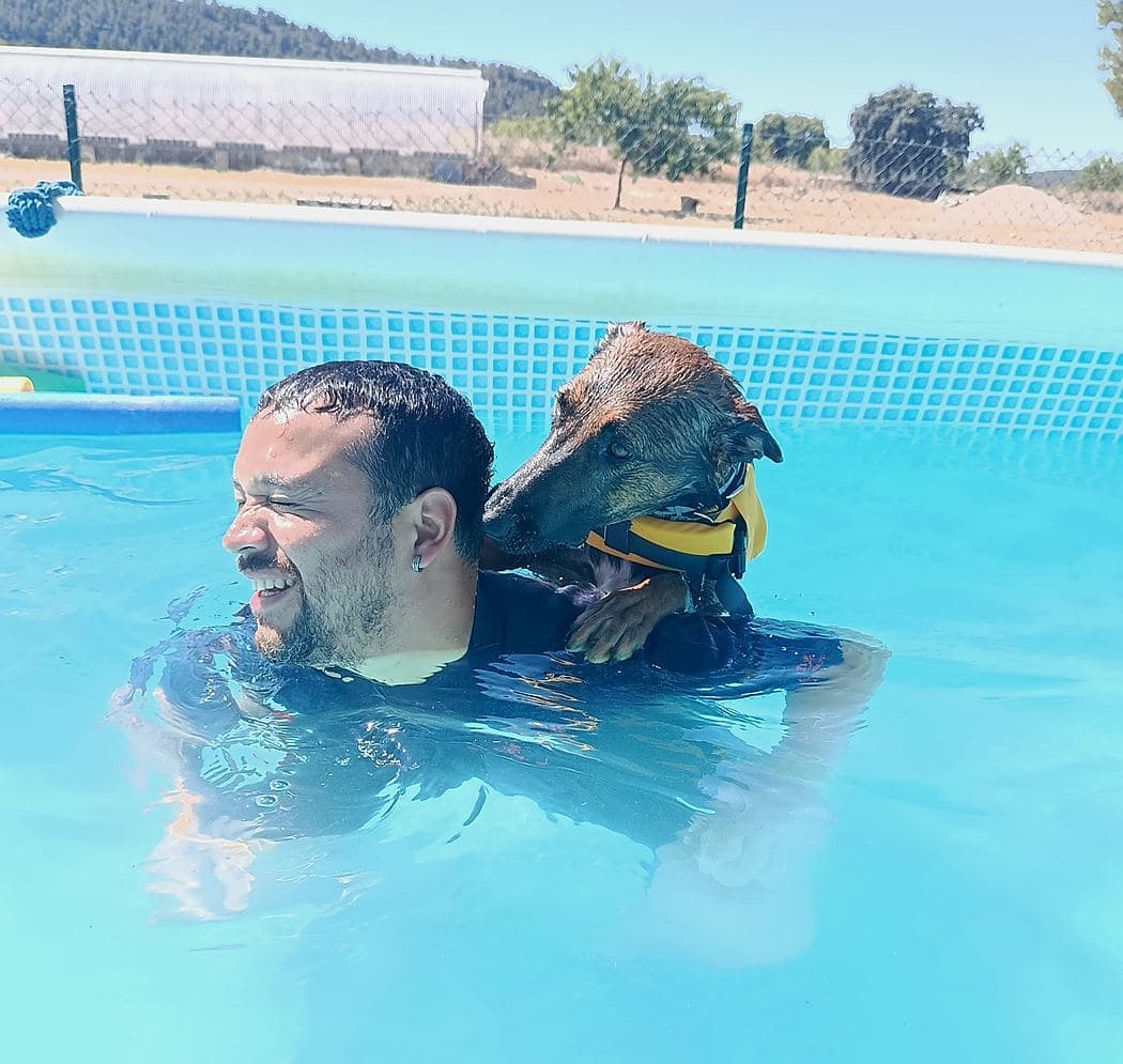 Perro disfrutando de una actividad individual