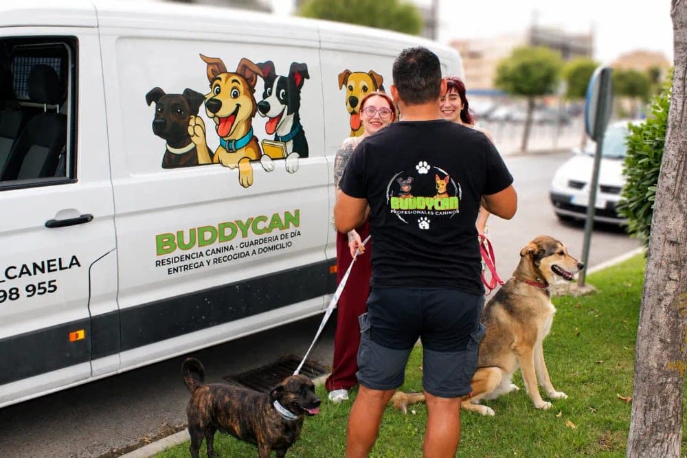 Recogida de BuddyCan junto a la furgoneta