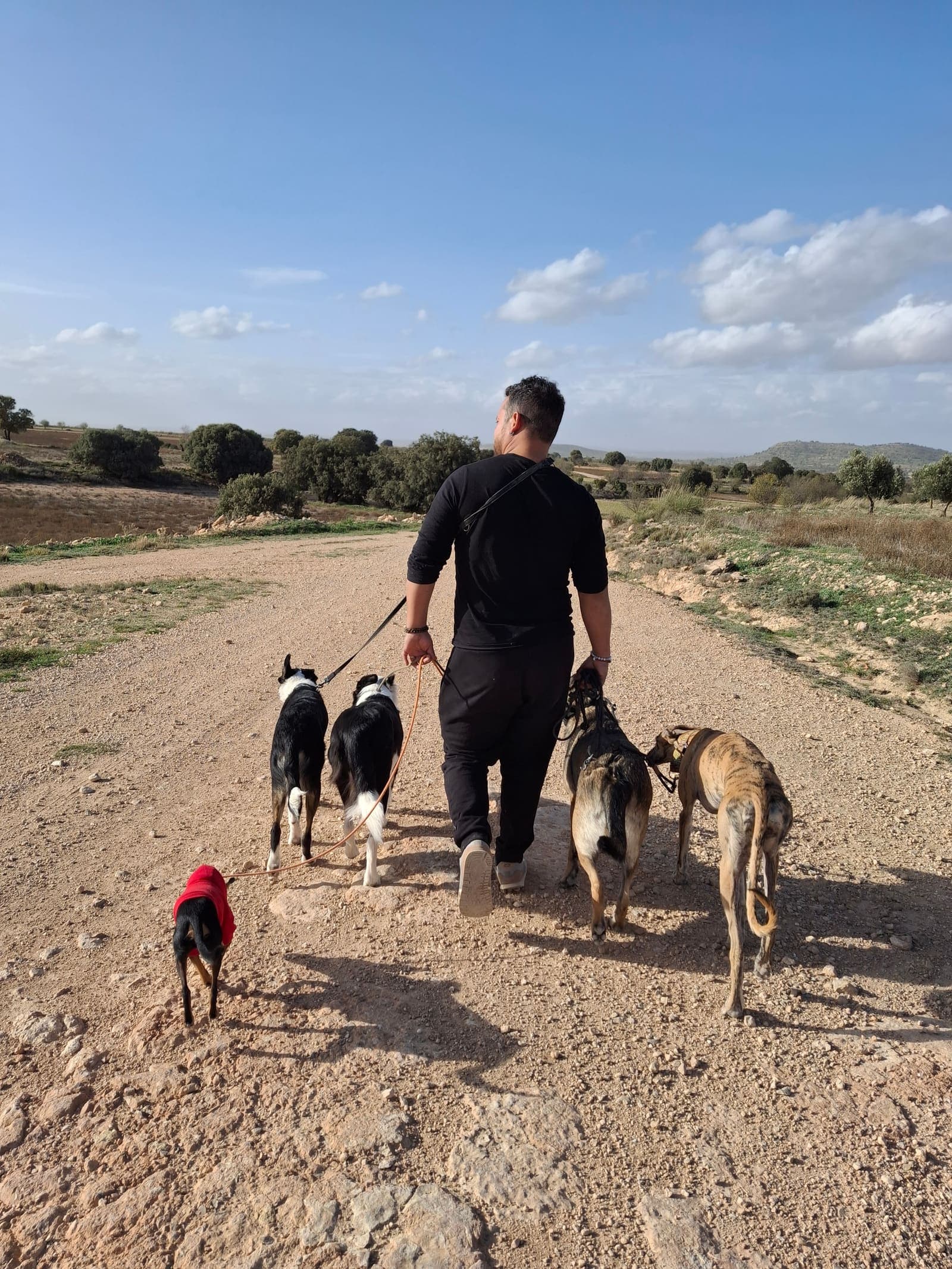 Paseo con la manada BuddyCan