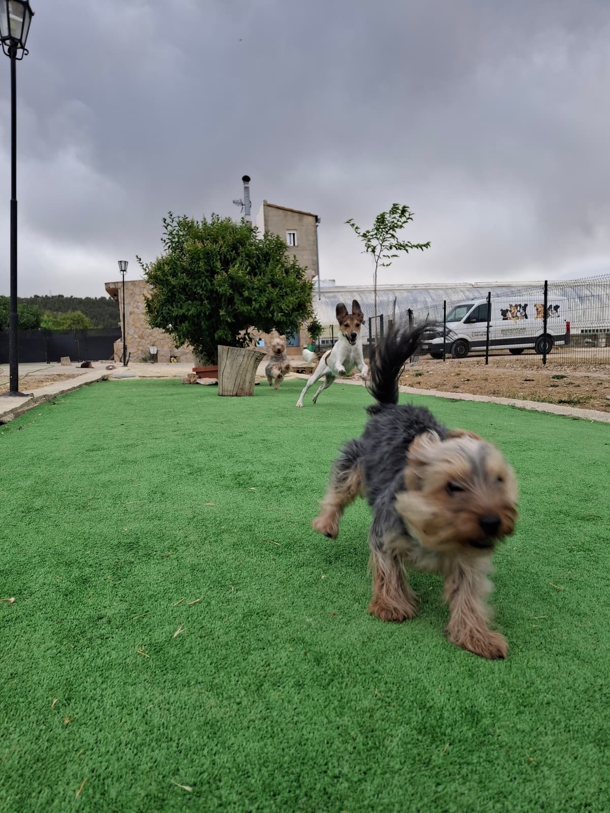 Vida en residencia en BuddyCan · foto 4