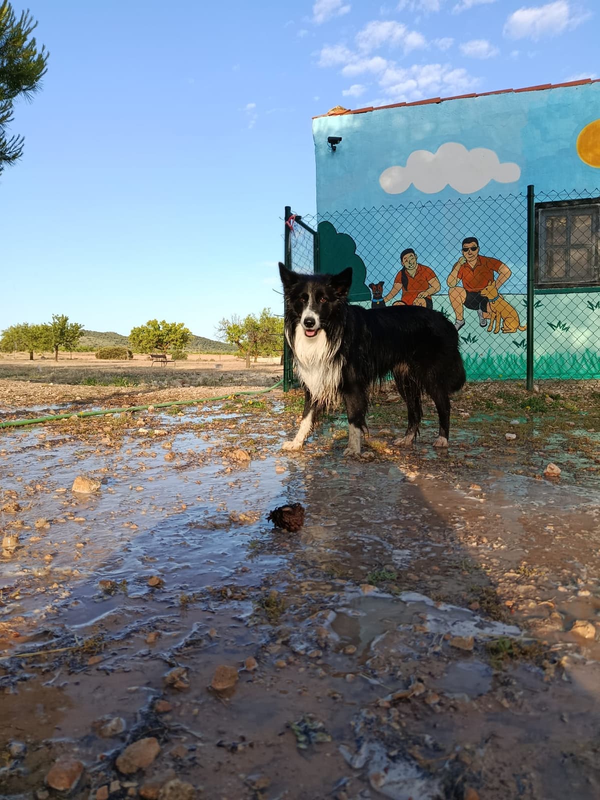 Vida en residencia en BuddyCan · foto 2