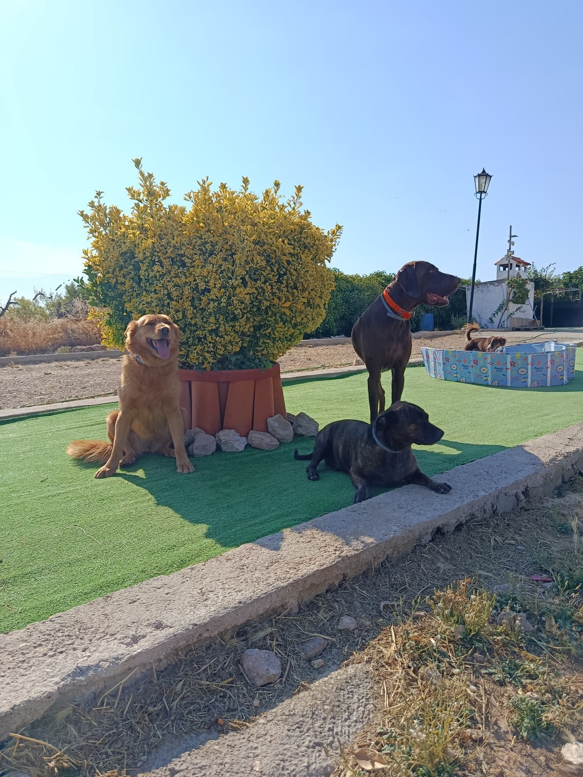 Vida en residencia en BuddyCan · foto 7