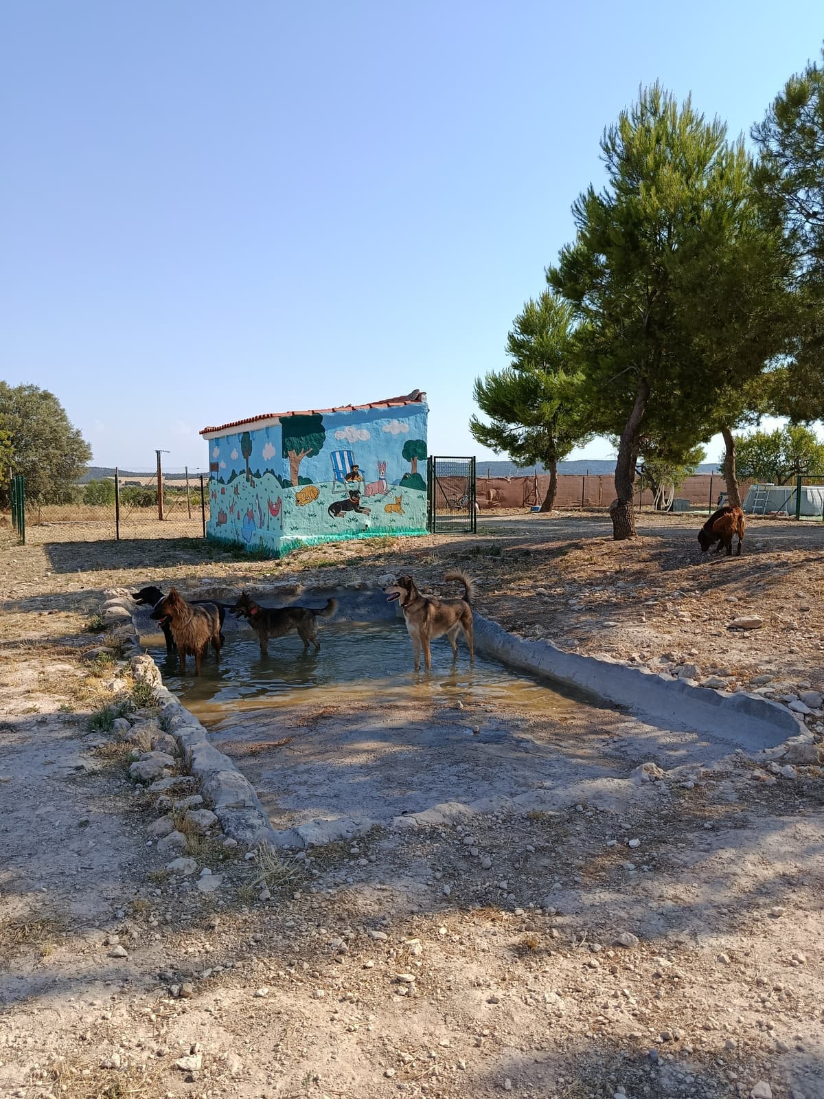Vida en residencia en BuddyCan · foto 8
