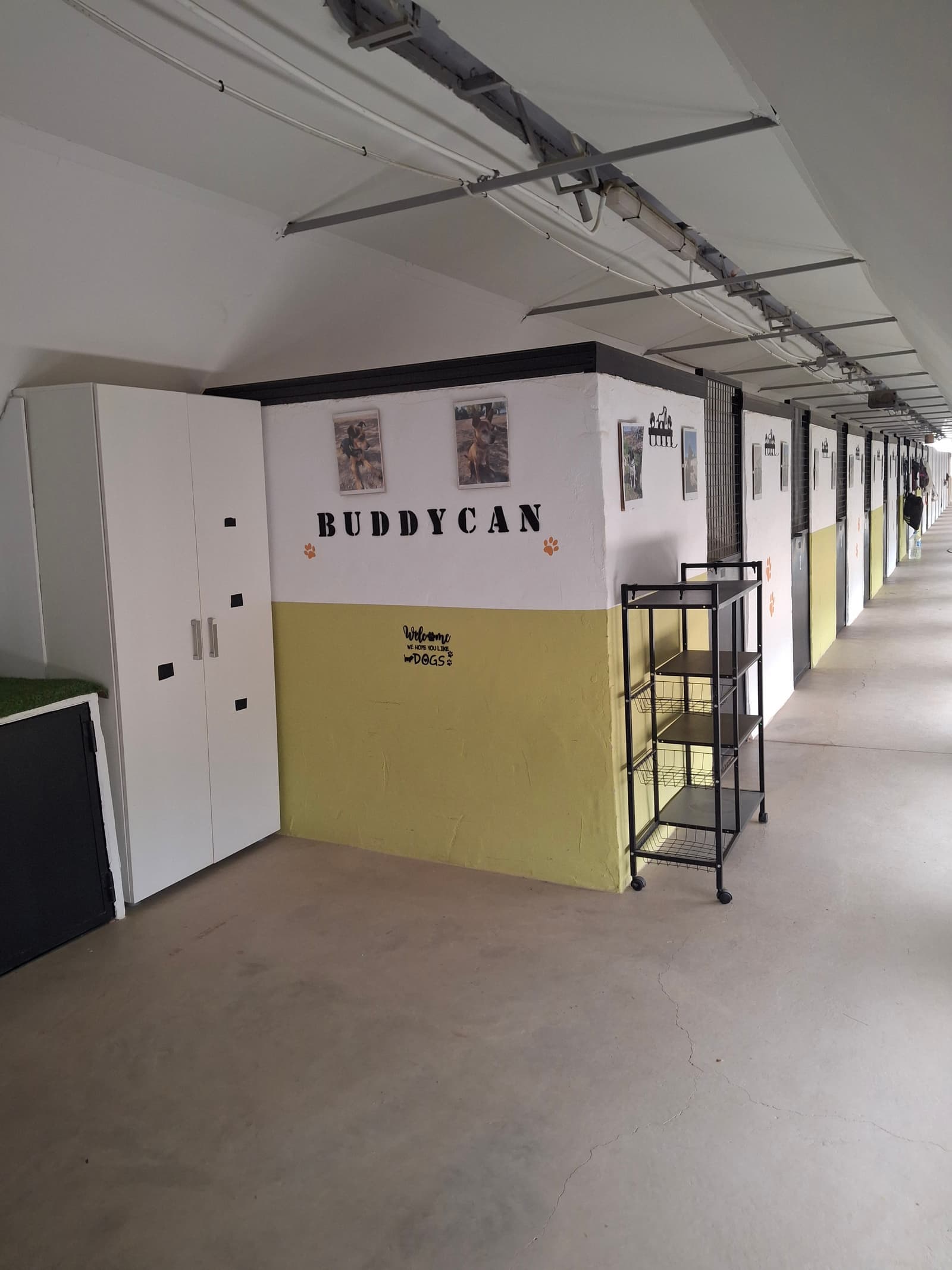 Instalaciones en BuddyCan · foto 1