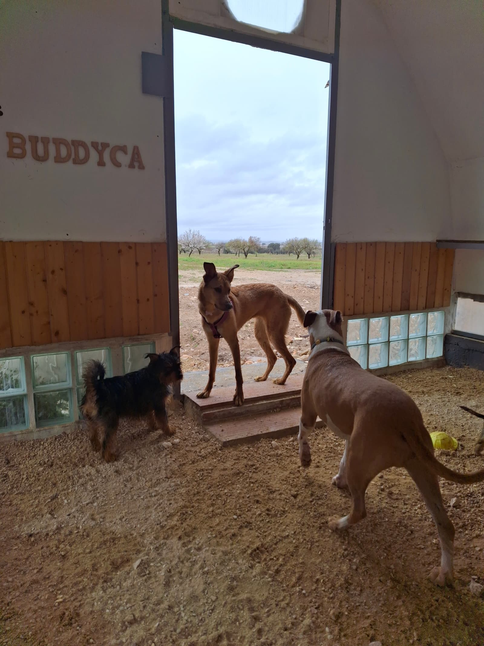 Instalaciones en BuddyCan · foto 7
