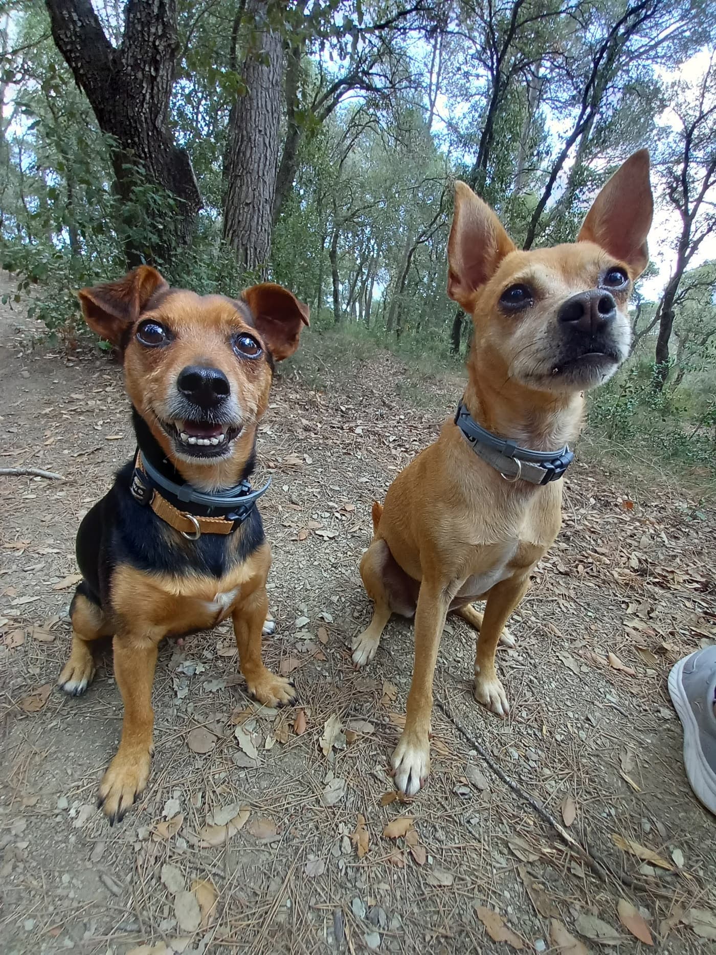 La familia BuddyCan al inicio de su historia