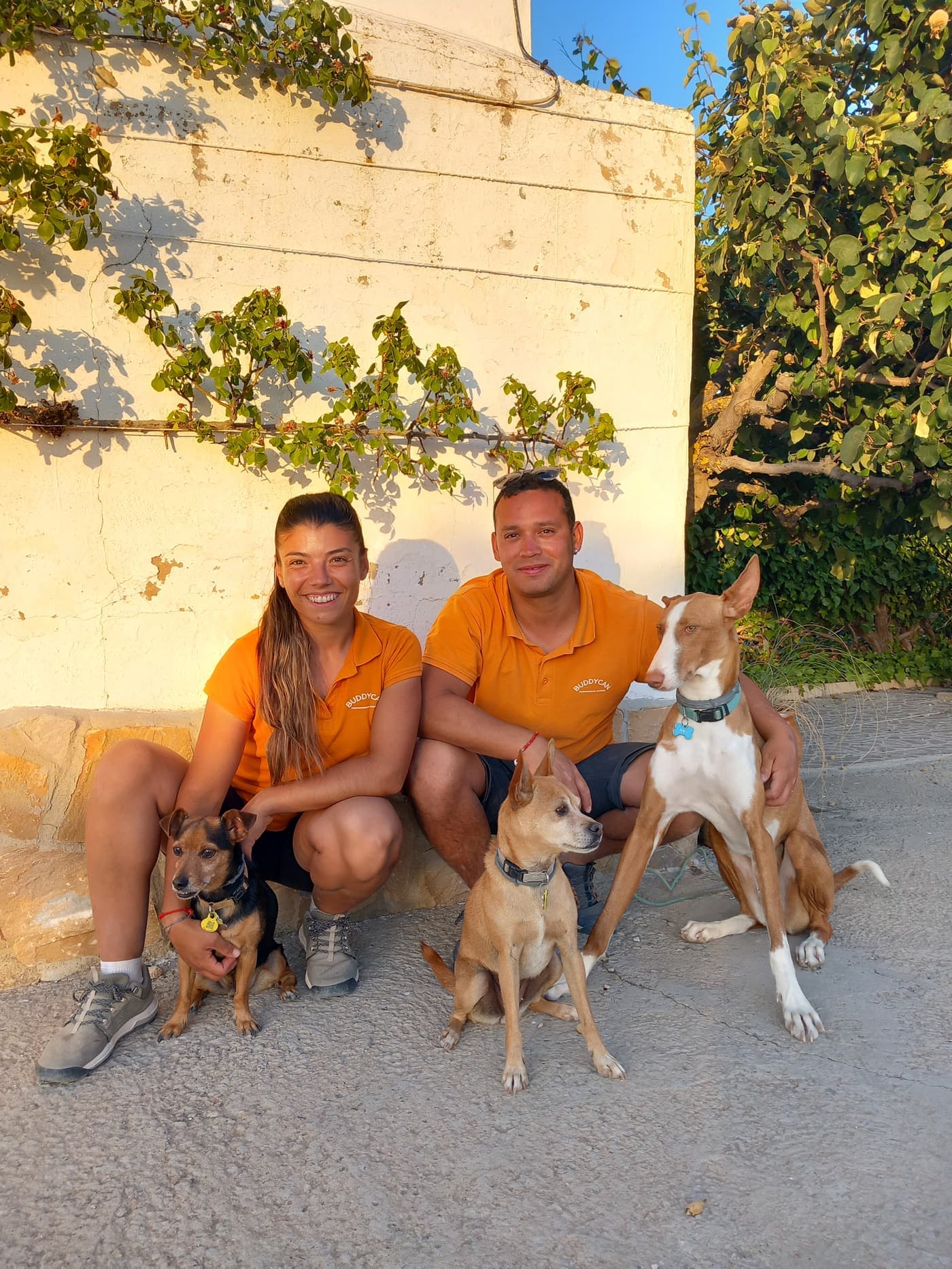 Perros disfrutando de BuddyCan